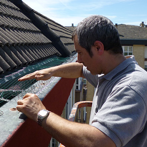 colocación en tejados de sistemas de puas anti aves y palomas