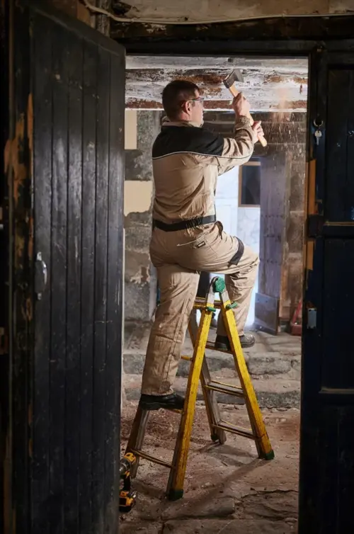 EliminacionPlagaTermitas