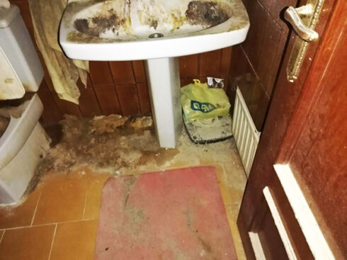 limpiezas-especiales