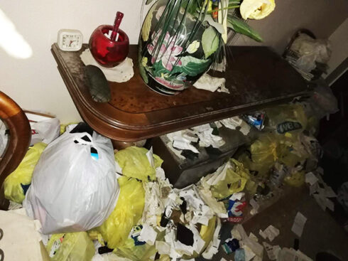 limpiezas-especiales