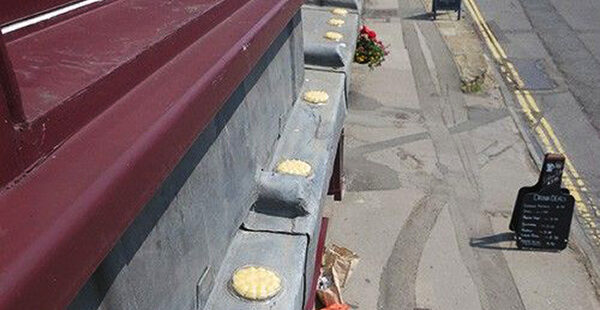 platillos-repelentes