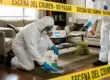 Procedimiento legal, desinfección y eliminación de riesgos biológicos